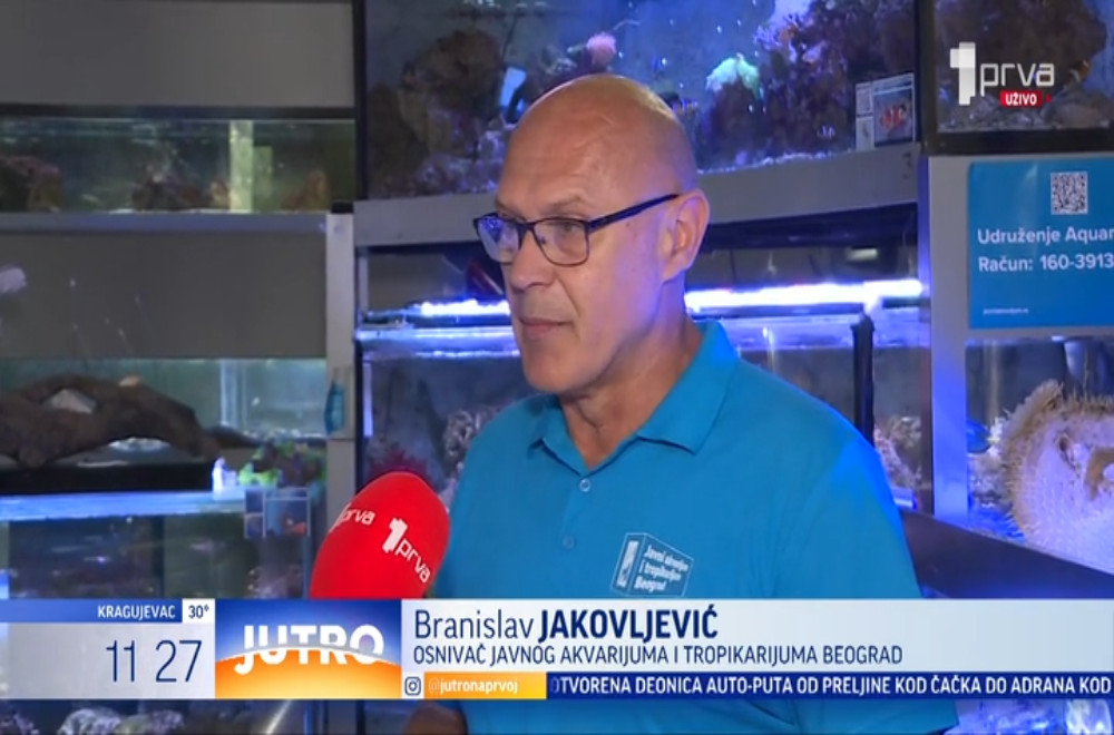 Koliko je „riba-zec” zaista opasna?
