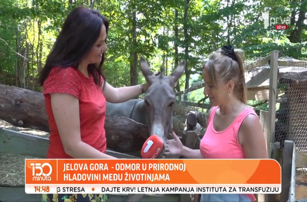 Gde možete uživati u prirodi?
