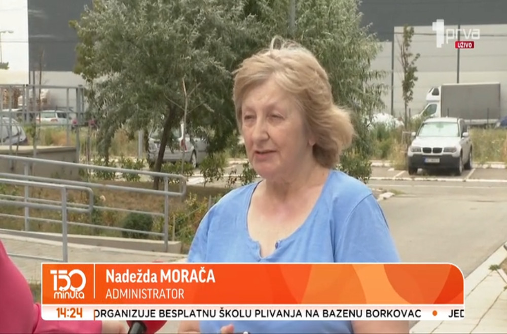 Pas Čupa traži dom