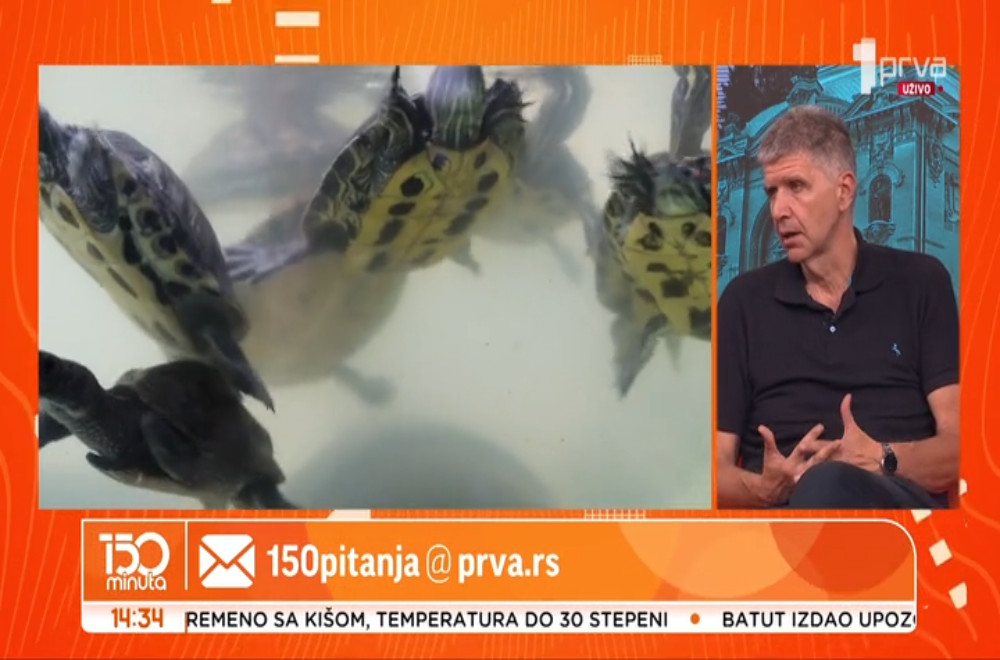 Veterinar Vlada Terzin odgovara na pitanja gledalaca