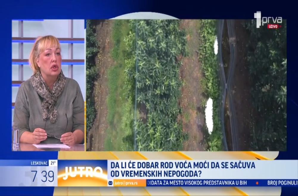 Da li protivgradna zaštita može uvek da spreči štetu ili je priroda moćnija od svake tehnike?