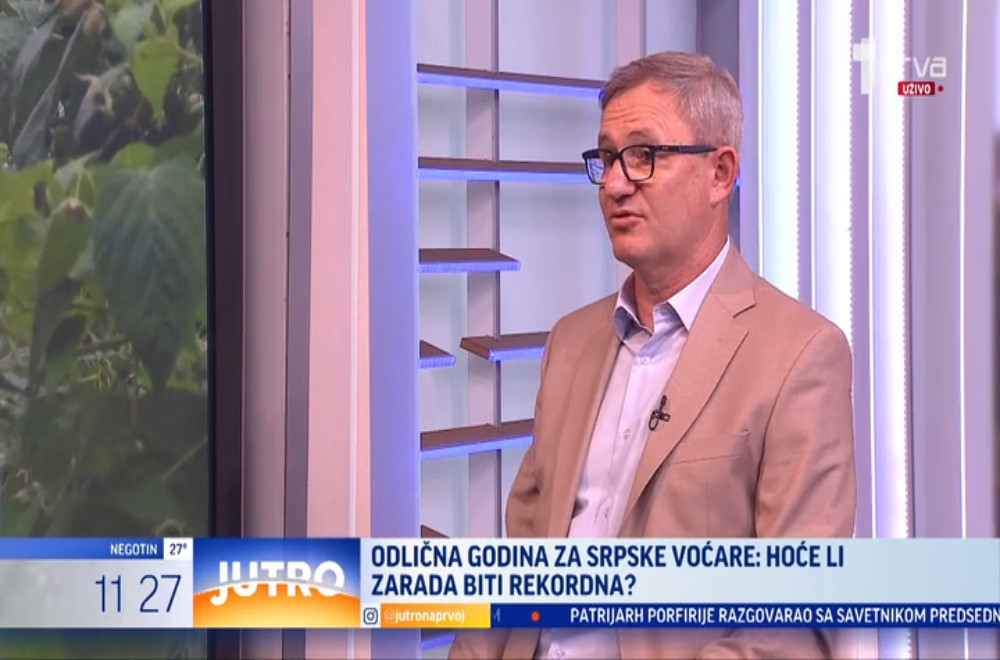 Odlična godina za srpske voćare: Hoće li i zarada oboriti rekorede?