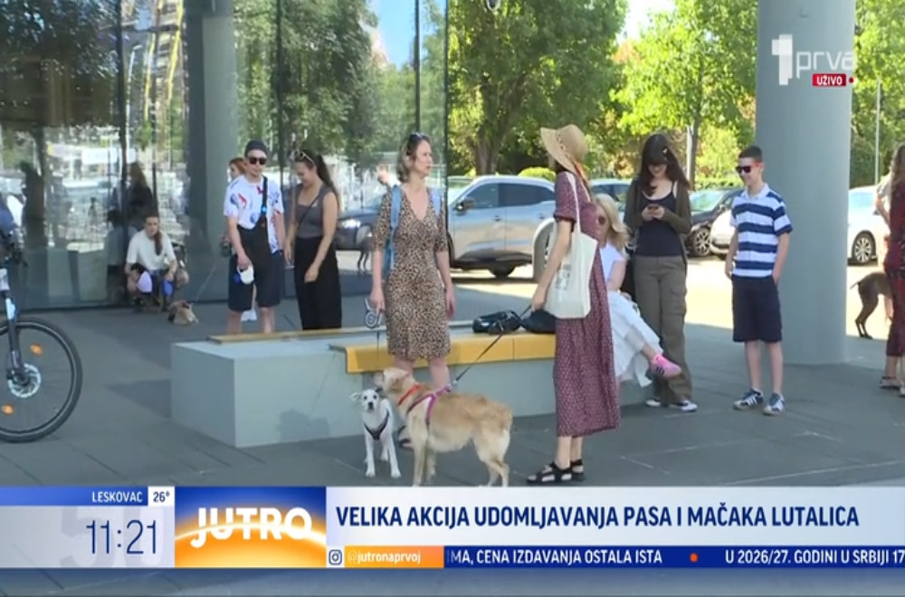 Velika akcija udomljavanja pasa koji su sklonjeni sa ulica Beograda
