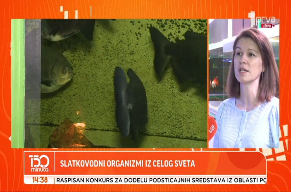 Ovde možete da vidite slatkovodne organizme iz celog sveta