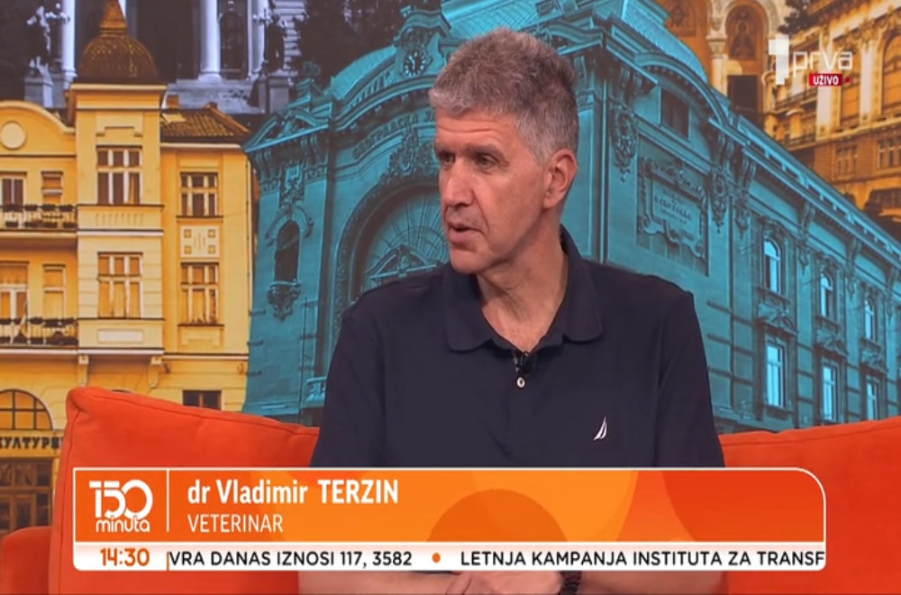 Spavaju li koale stvarno i po 20 sati dnevno?