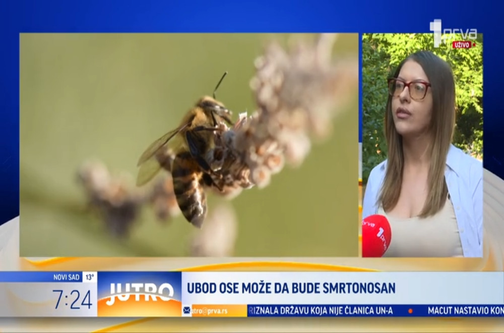 Na šta treba obratiti pažnju ako dođe do uboda ose