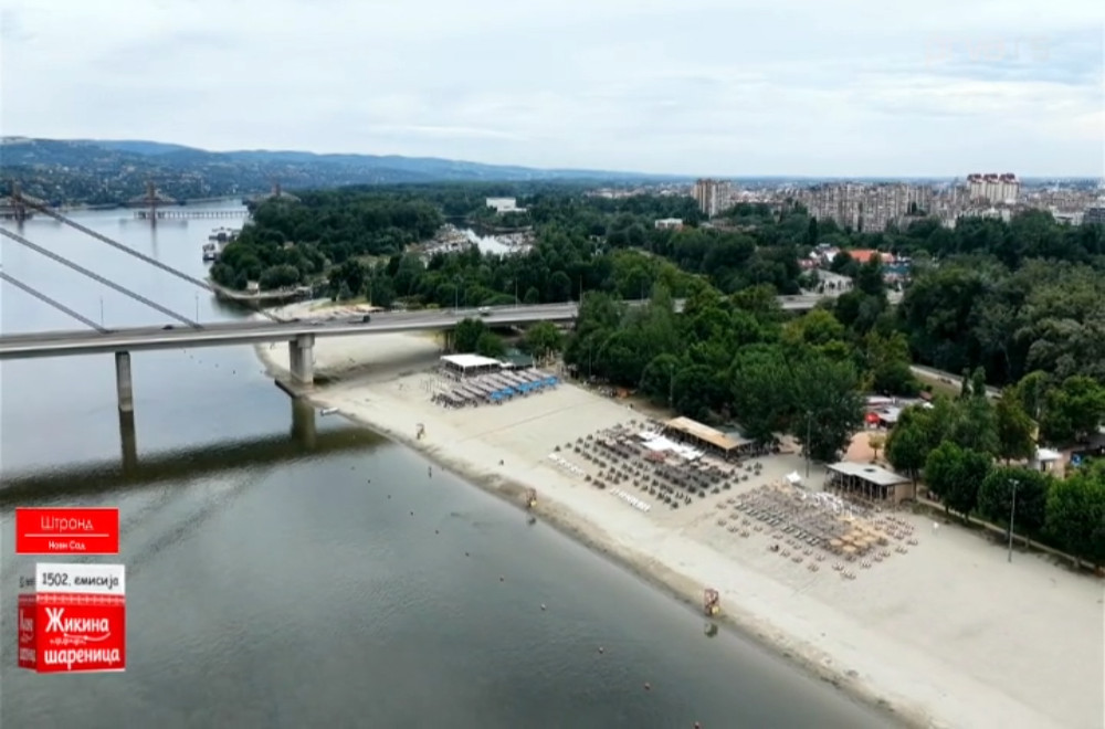 Žikina šarenica - 11.07.2026.