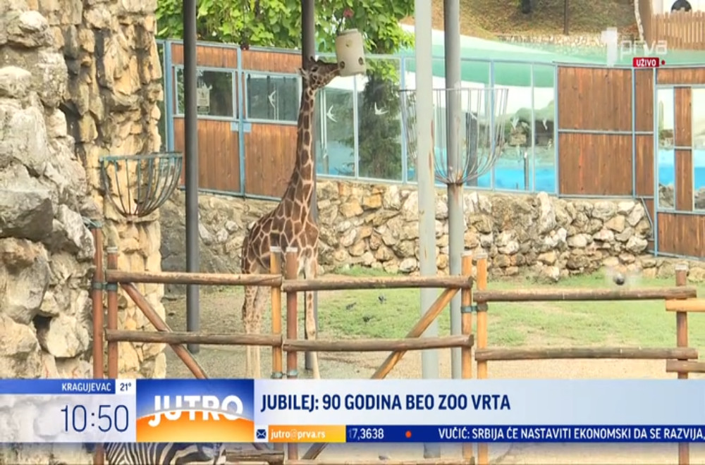 Jedan od simbola Beograda ove godine slavi veliki rođendanski jubilej