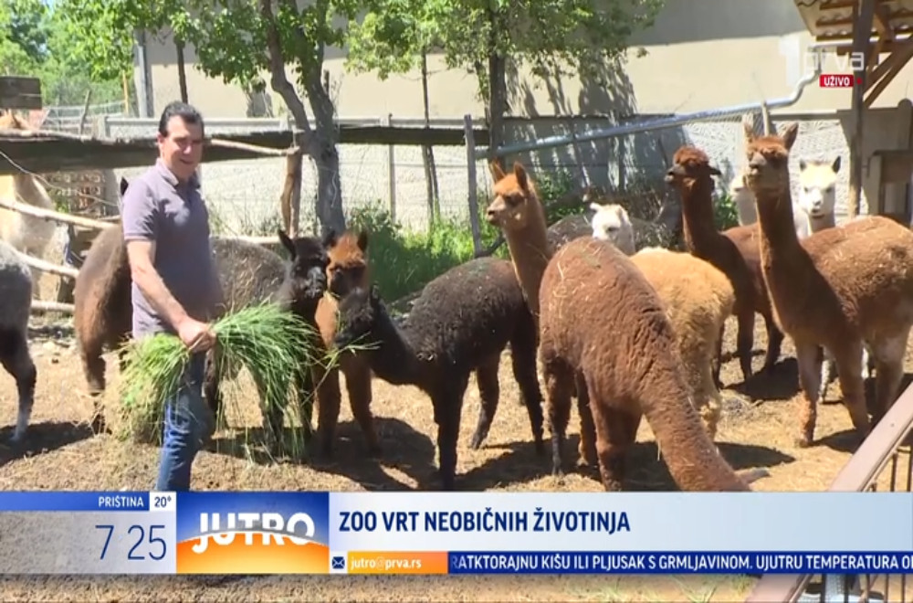 Pogledajte Miroslavljevo životinjsko carstvo
