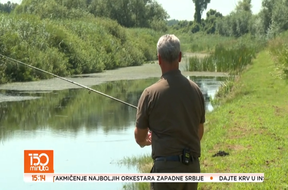 Obedska bara nije samo močvara – ona je živi ekosistem, prirodna učionica i utočište brojnih retkih vrsta