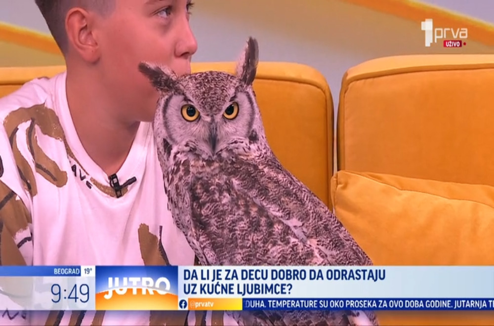 Da li je za decu dobro da odrastaju uz svoje kućne ljubimce?