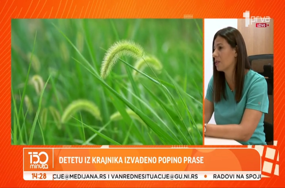 Detetu iz krajnika izvađeno popino prase