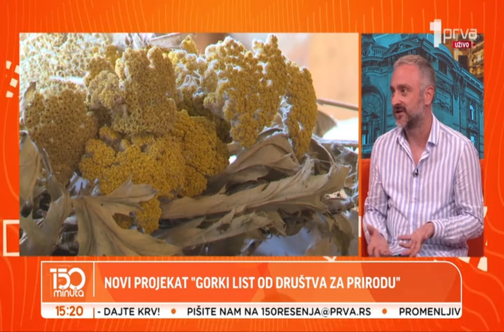 Raste interesovanje za lekovito bilje