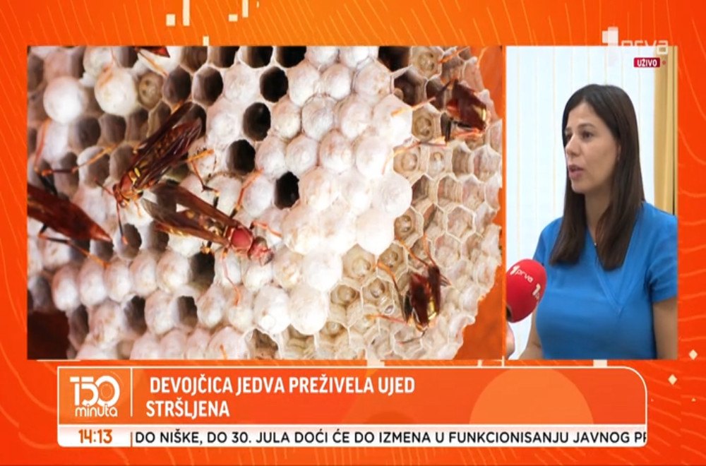 Kako da reagujemo ako nas ujede stršljen?