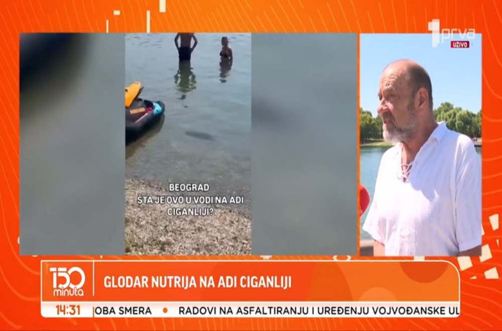 Kupače na Adi Ciganliji iznenadila nesvakidašnja životinja