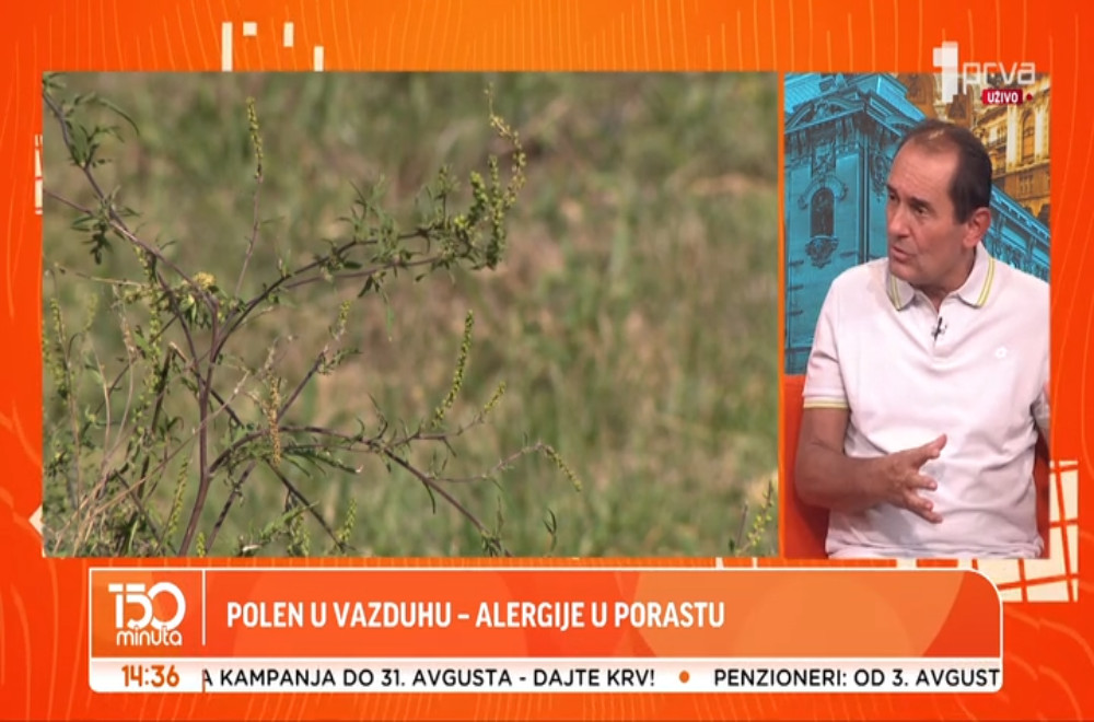 Polen u vazduhu - alergije u porastu!