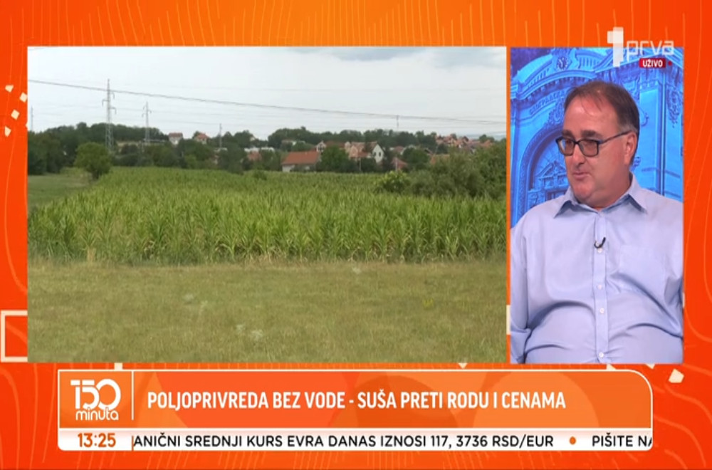 Suša u Srbiji – kakvo je stanje useva?