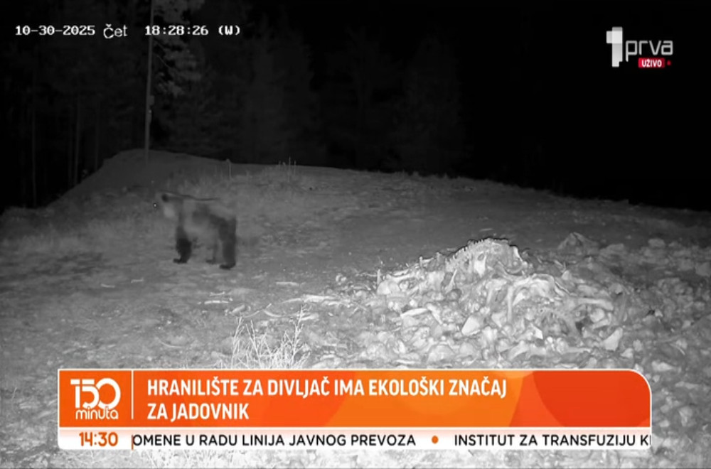 Hranilište na Jadovniku, spas za divlje životinje