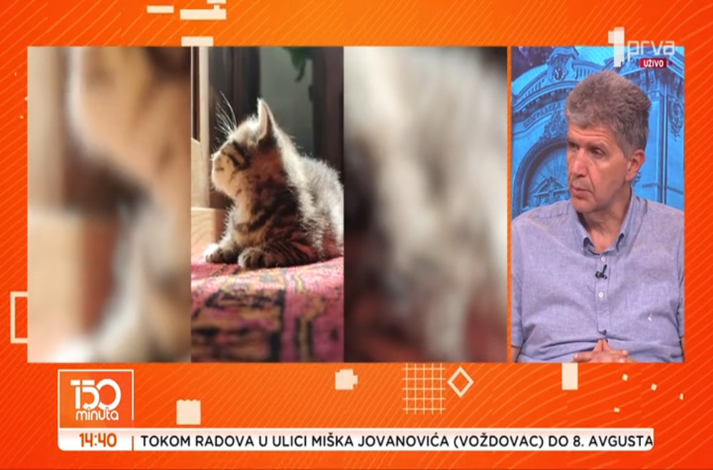 Rešavamo nedoumice o životinjama i kućnim ljubimcima