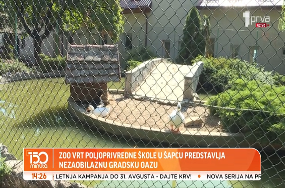 Zoo vrt u Šapcu