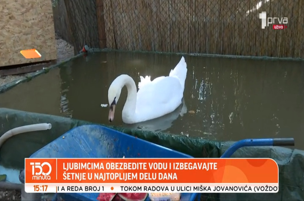 Tropski talas nije opasnost samo za ljude, već i za životinje!