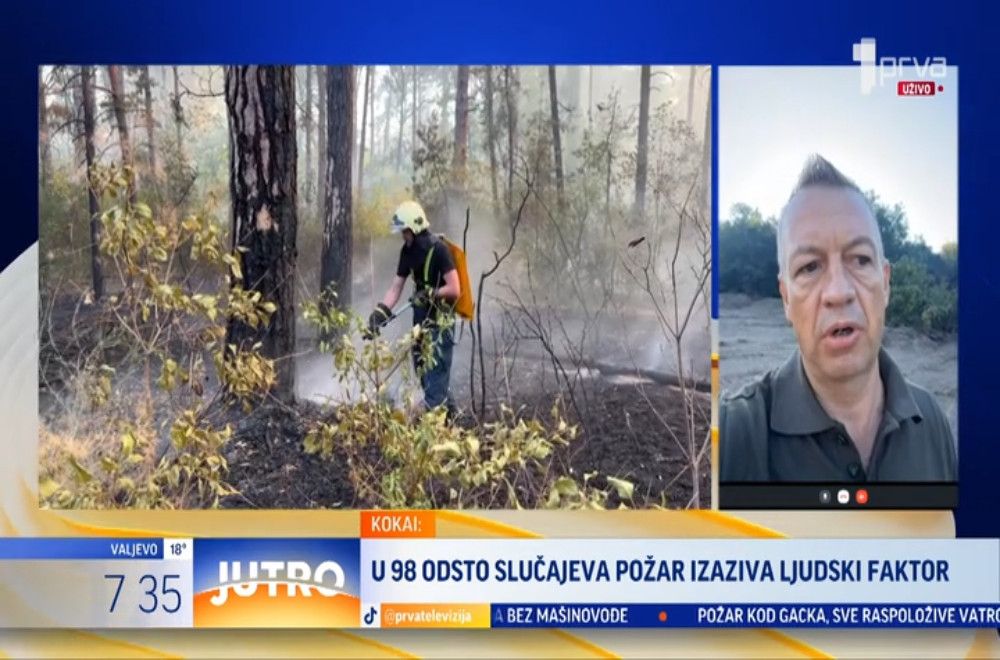 Požari širom Srbije gutaju više od 1.700 hektara: Najkritičnije u Deliblatskoj peščari