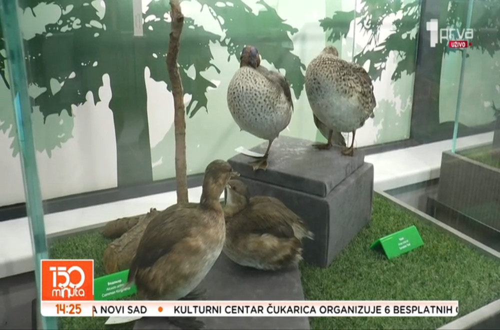 Bogatstvo biljnog i životinjskog sveta Ovčarsko-kablarske klisure