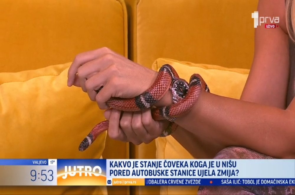 Koliko ujed zmije može biti opasan, čak i kada nije otrovnica