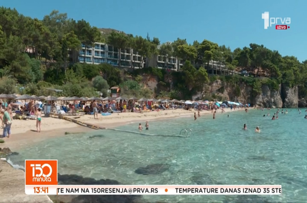 Izgleda simpatično, ima zube poput pravog zeca, a kada se uplaši, pretvori se u bodljikavu loptu!