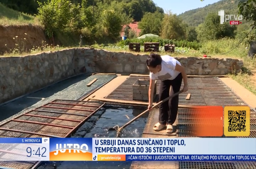 Ko ostaje na planini: Porodice koje su budućnost pronašle u rodnom selu