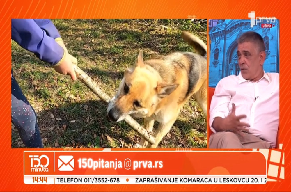 Veterinar odgovara na pitanja o životinjama