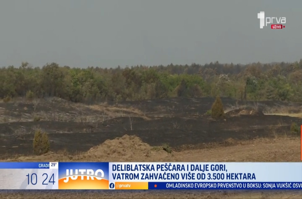 Kakva je trenutna situacija sa požarima u Deliblatskoj peščari?