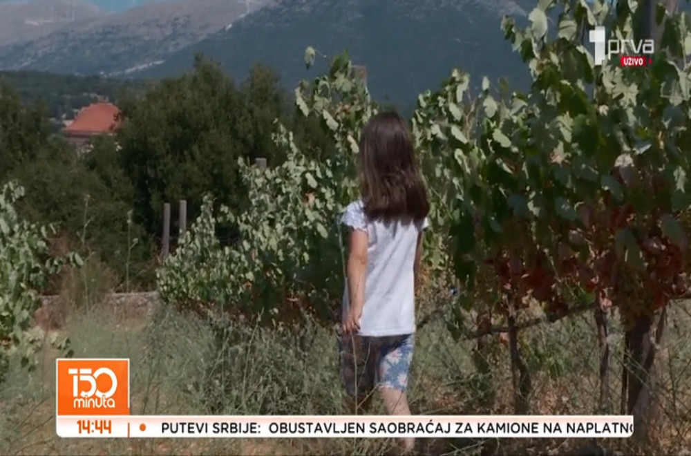 Kefalonija u znaku Robole: Autohtona sorta od koje nastaje vrhunsko belo vino