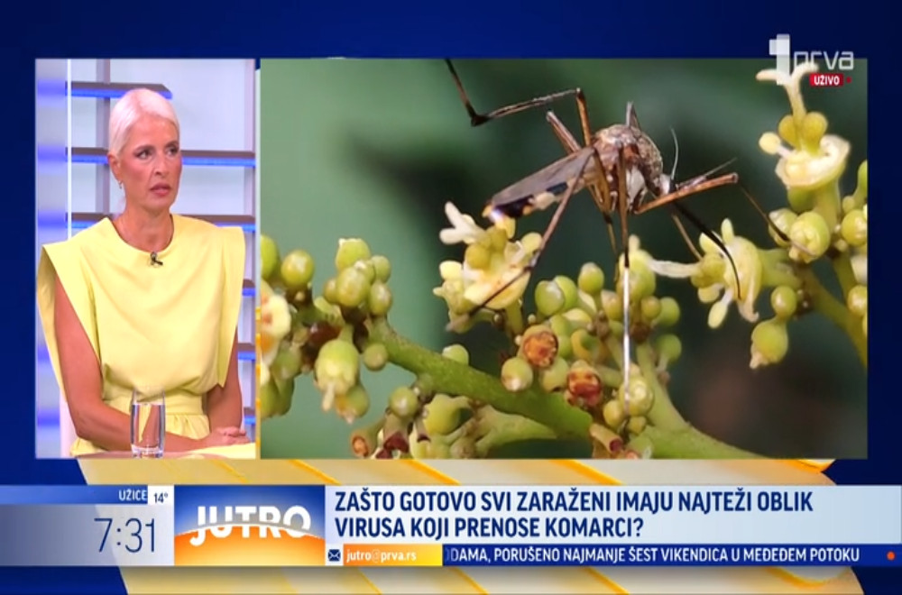 Groznica Zapadnog Nila ne miruje