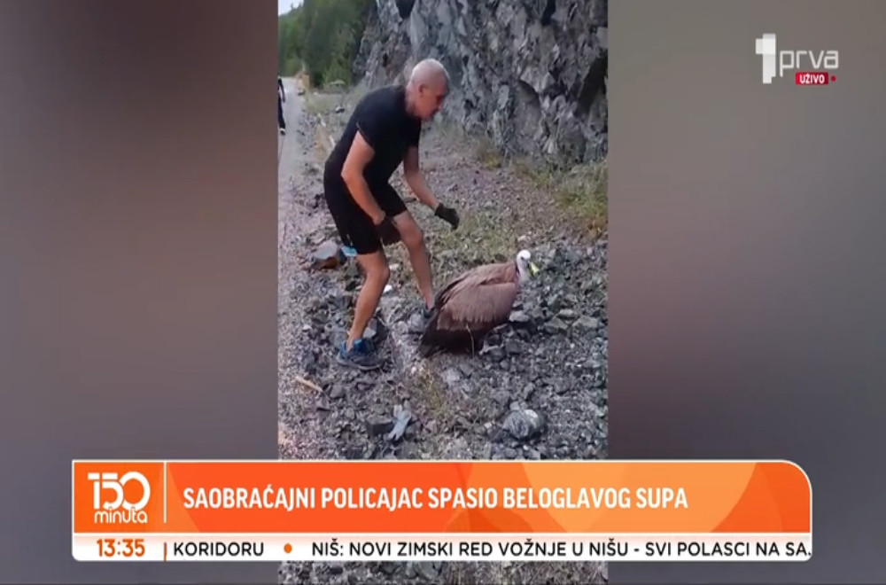 Policajac učestvovao u akciji spasavanja beloglavog supa