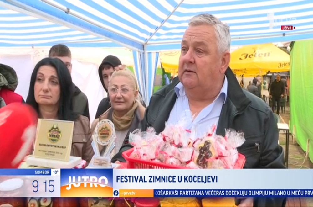 Festival zimnice