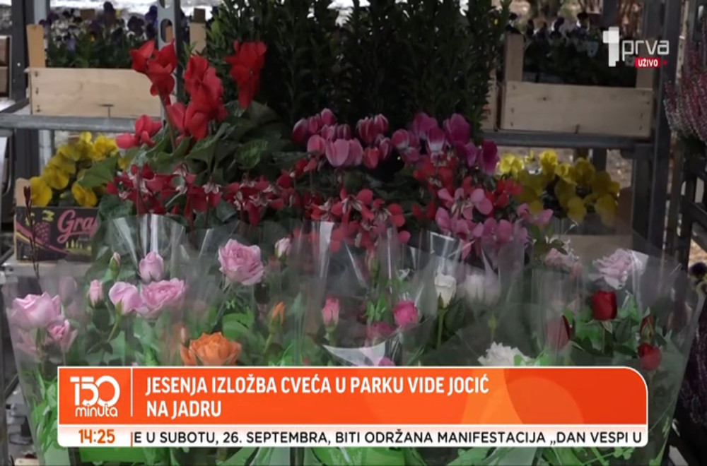 JESEN U CVATU: Izložba cveća otvorena u Parku Vide Jocić na Jadru