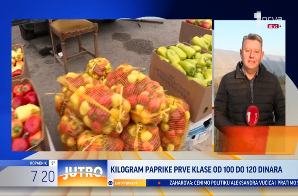 Leskovačka paprika na vrhuncu sezone: Kakve su cene i isplati li se Beograđanima da dođu po nju?