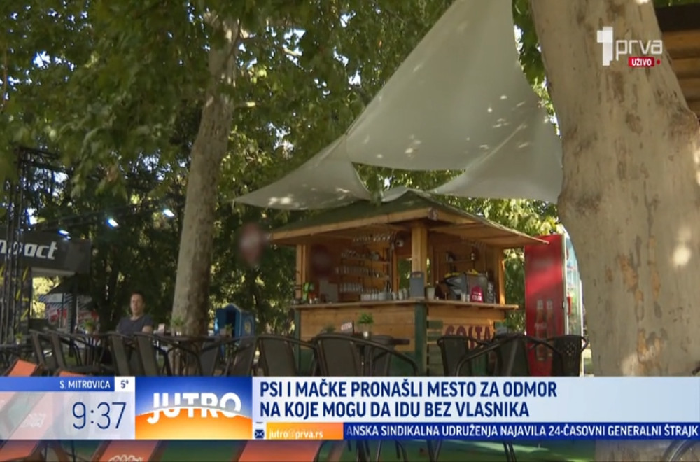 Jedan kafić na Adi Ciganliji je omiljeno mesto ljubimaca, ali i divljih životinja