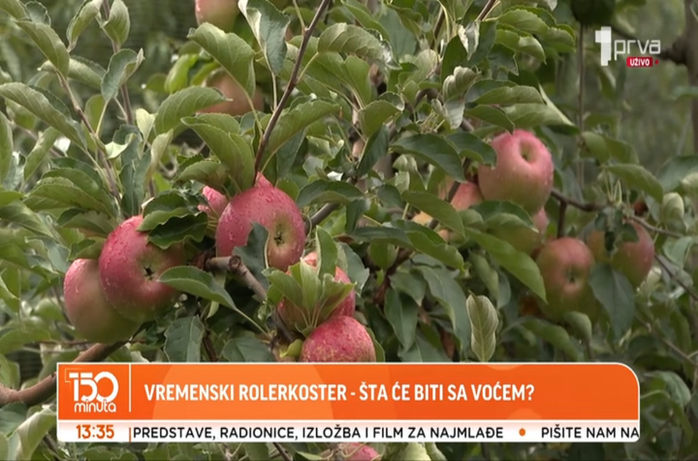 Nagle promene temperature ugrožavaju voće: Kako voćari mogu da zaštite ovogodišnji rod?