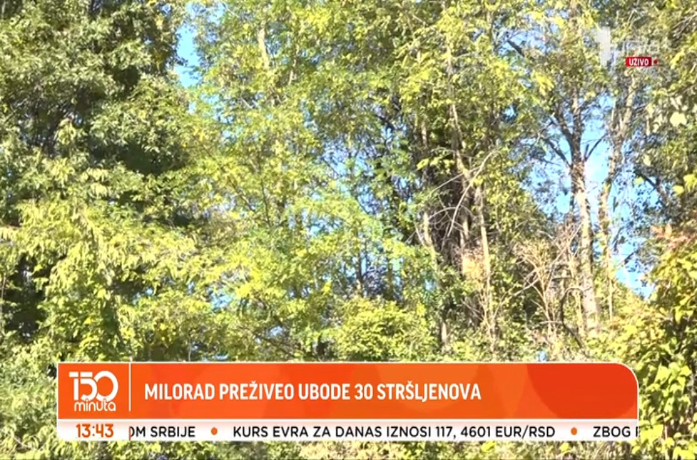 Preživeo ubode 30 stršljenova, pa se vratio poslovima: Kako je danas Milorad iz Ovčinje?