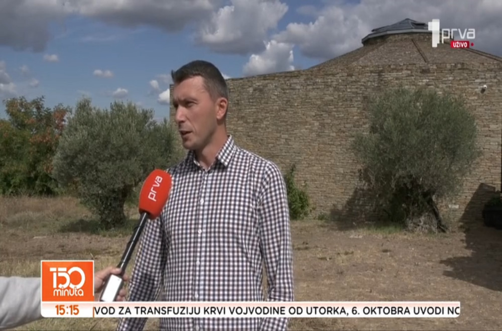 Španija usred Srbije: Vinogradi, kameno zdanje i masline stare 500 godina kod Prokuplja