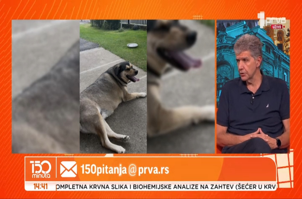 Sve što ste želeli da znate o životinjama: Na vaša pitanja odgovara veterinar