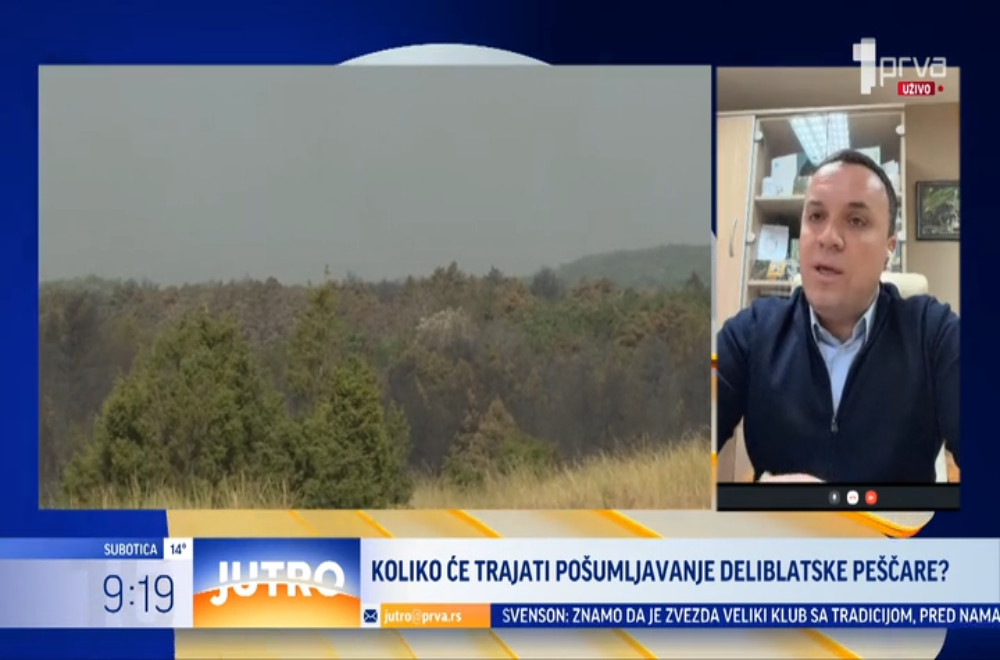 Kako će se sprečiti novi požari?