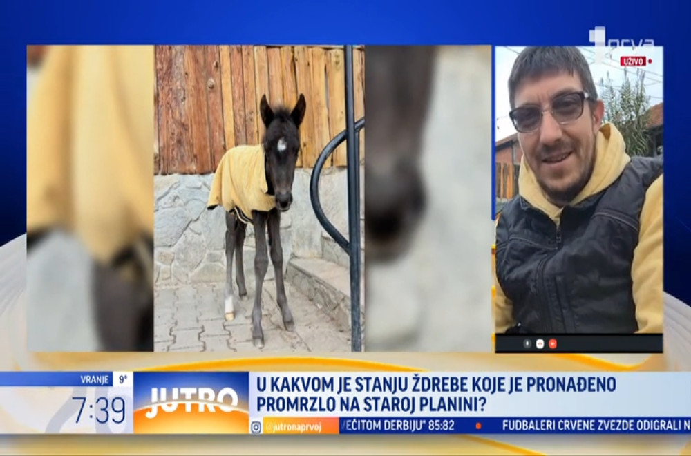 Pronađeno i spaseno promrzlo ždrebe staro samo nekoliko dana
