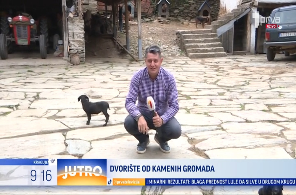 Po čemu je posebno dvorište porodice Dimitrijević?