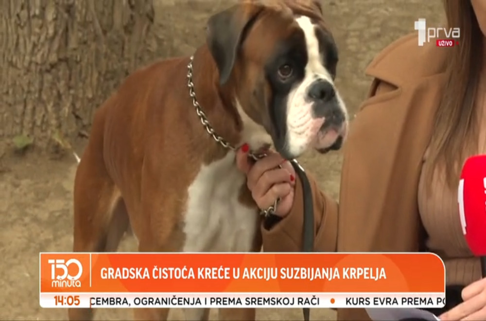 Gde ima najviše krpelja?
