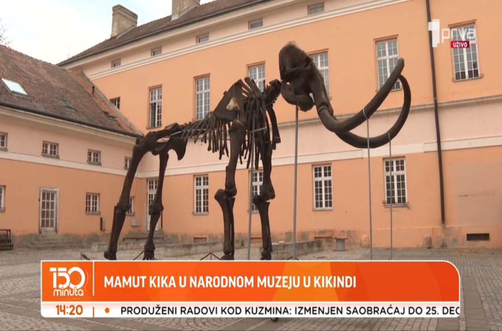 Šta krije muzej u Kikindi?
