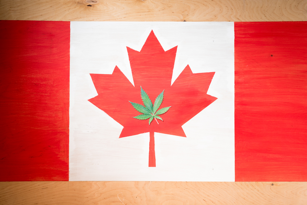 Kanadska zastava sa kanabisom, foto: Depositphotos/VitalikRadko