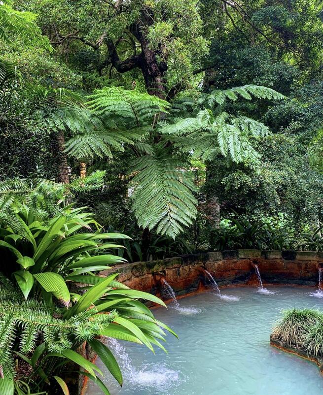 Vrhunac vrtova je termalni bazen obogaen gvoem, jedan od najlepih toplih izvora na Sao Miguelu, foto: Ivana Kovaevi